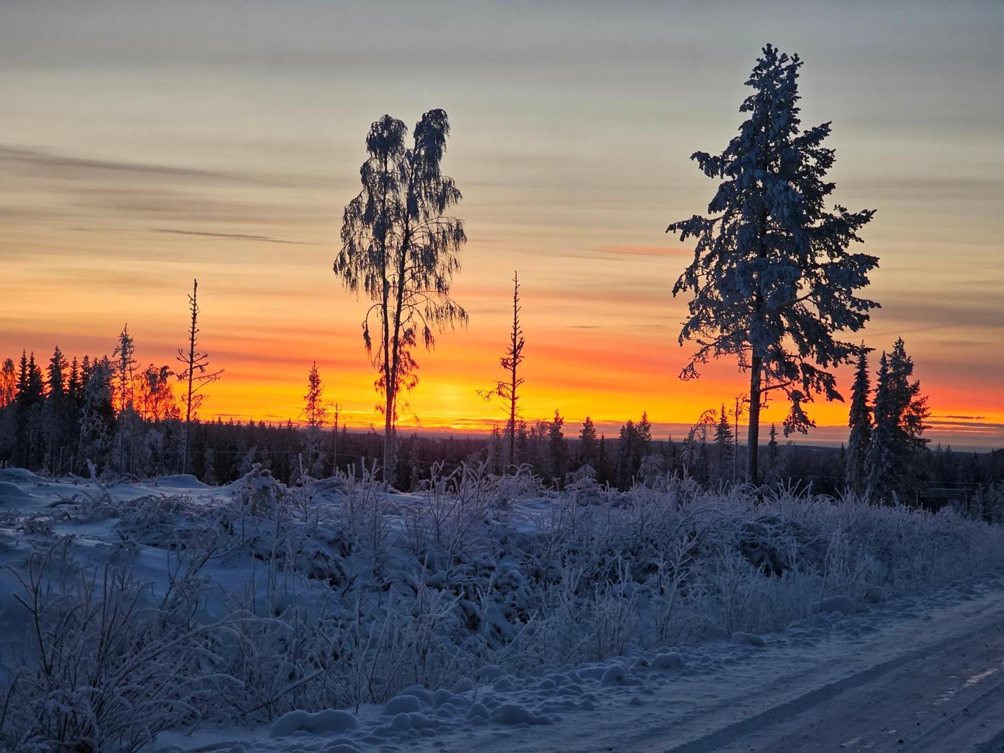 Hotellet I Joern Ab Jorn Exteriér fotografie
